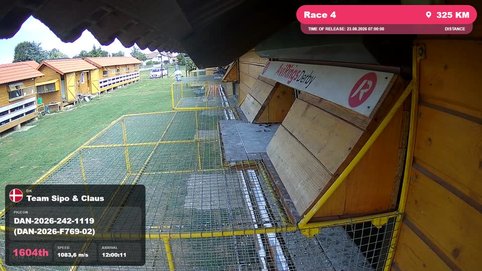 Pigeon Arrival Image For Race Race 4