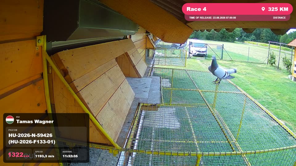 Pigeon Arrival Image For Race Race 4