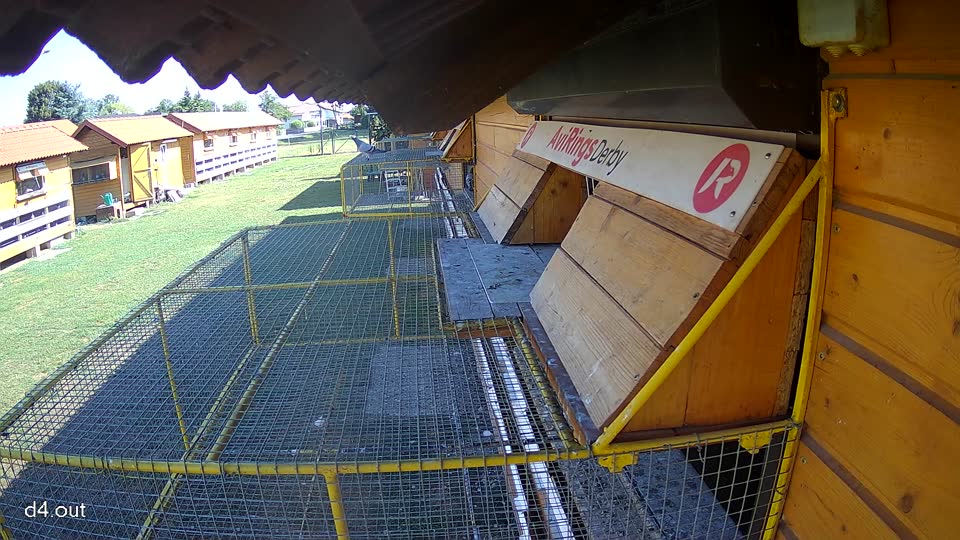 Pigeon Arrival Image For Race Race 2