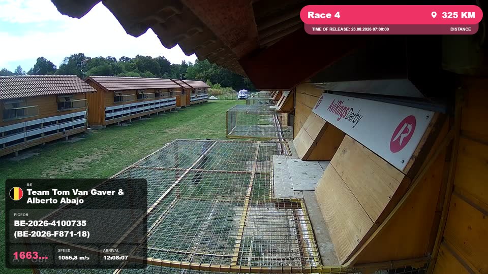 Pigeon Arrival Image For Race Race 4
