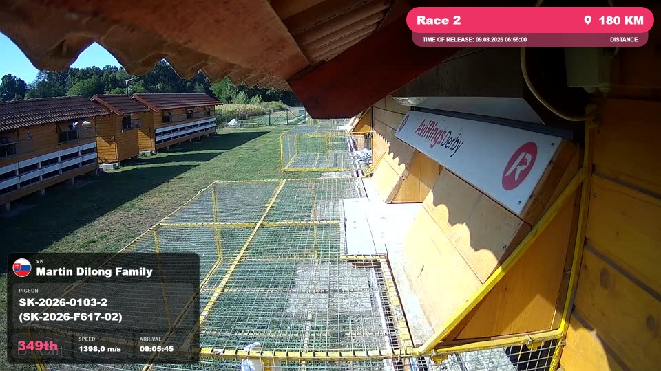 Pigeon Arrival Image For Race Race 2