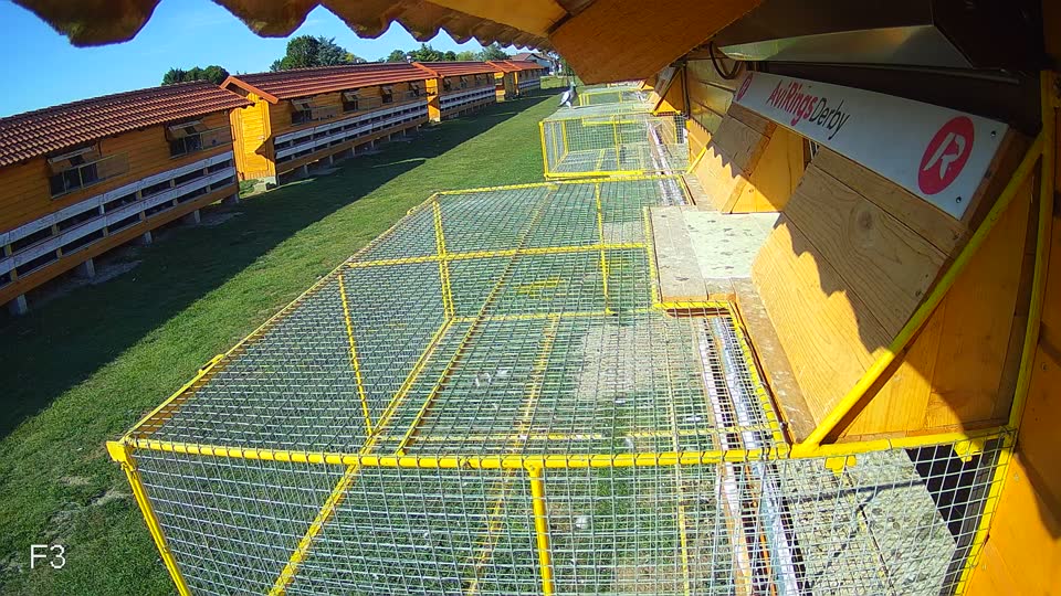 Pigeon Arrival Image For Race Race 5
