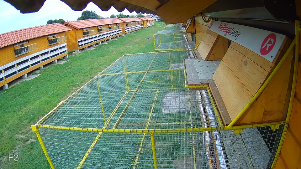Pigeon Arrival Image For Race Race 3