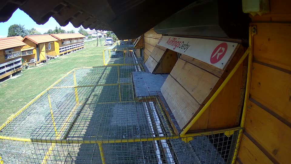 Pigeon Arrival Image For Race Race 5