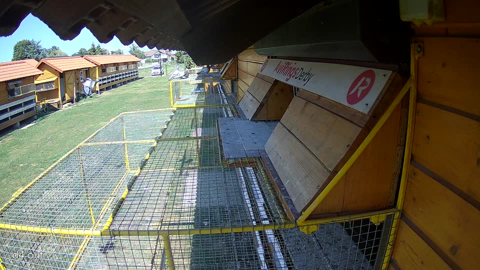 Pigeon Arrival Image For Race Race 5