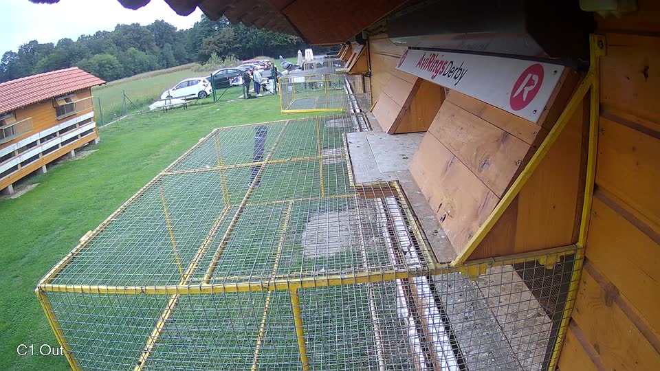 Pigeon Arrival Image For Race Final race 2