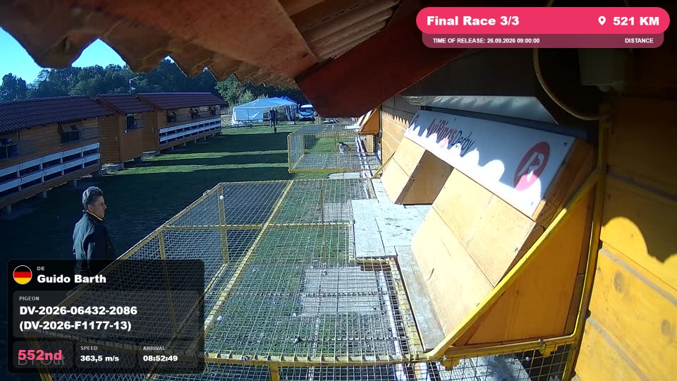 Pigeon Arrival Image For Race Final Race 3/3