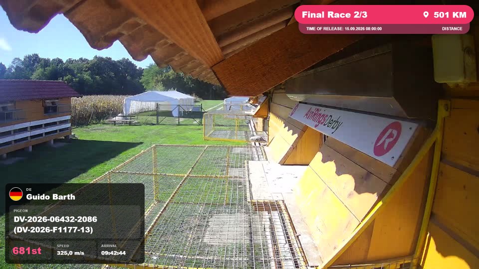 Pigeon Arrival Image For Race Final Race 2/3