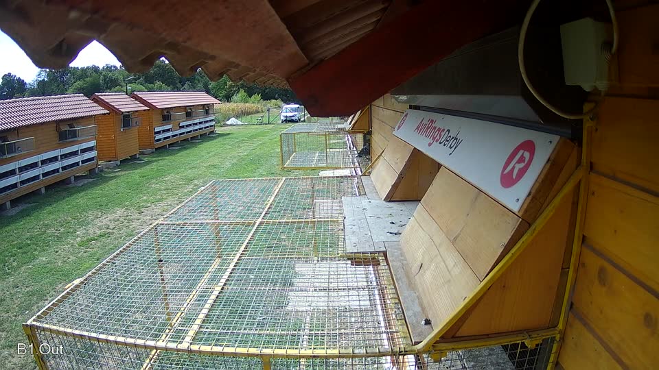 Pigeon Arrival Image For Race Race 4