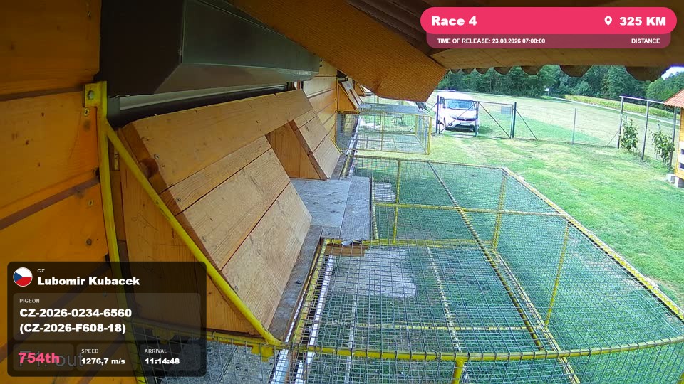 Pigeon Arrival Image For Race Race 4