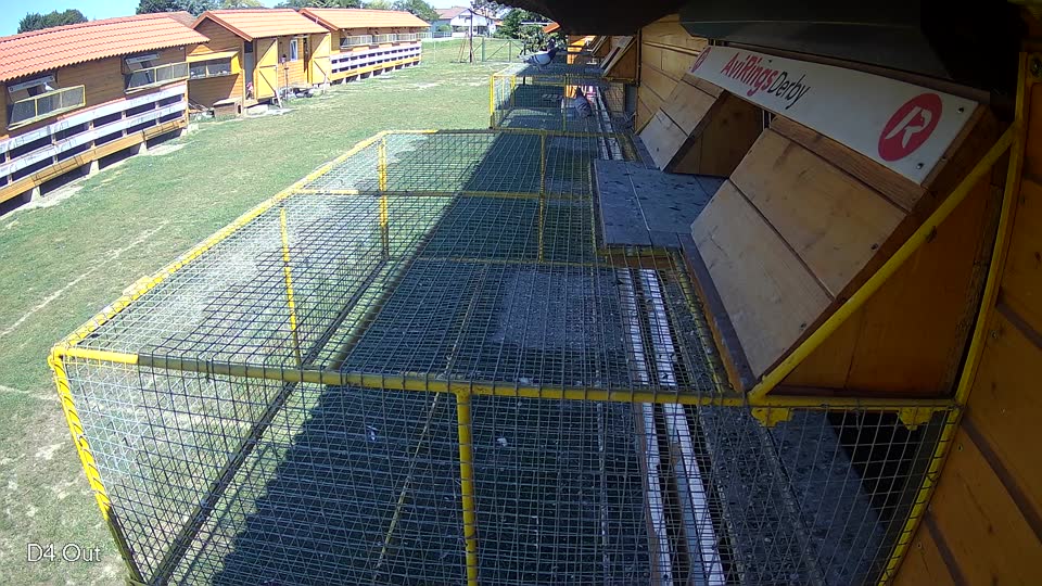 Pigeon Arrival Image For Race Race 5