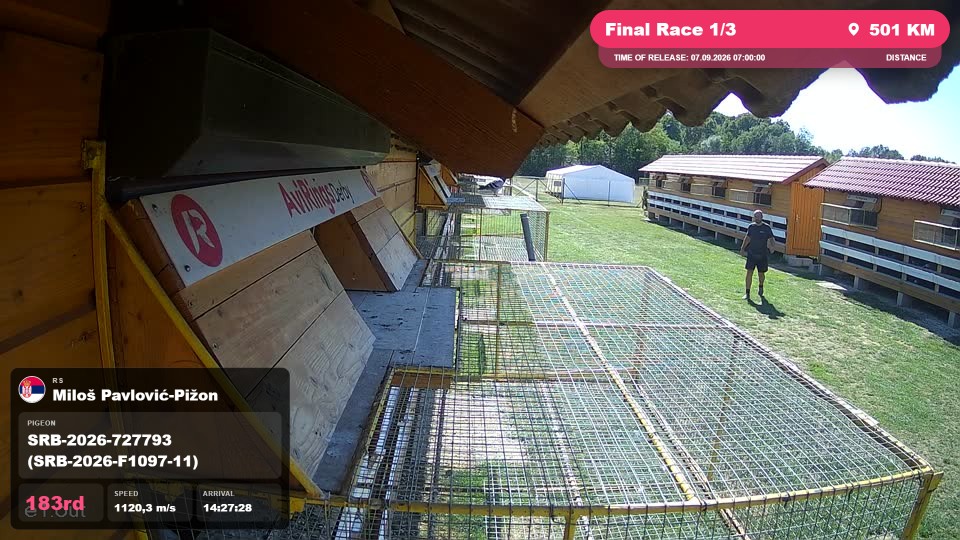 Pigeon Arrival Image For Race Final Race 1/3