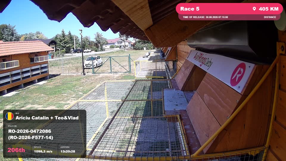 Pigeon Arrival Image For Race Race 5