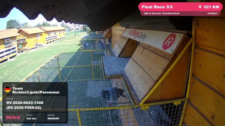 Pigeon Arrival Image For Race Final Race 3/3