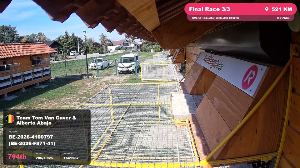 Pigeon Arrival Image For Race Final Race 3/3