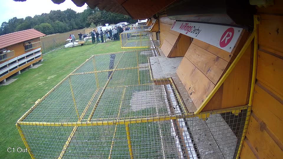 Pigeon Arrival Image For Race Final race 3
