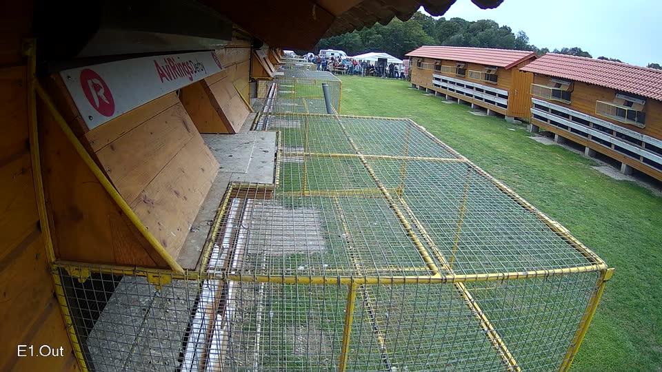 Pigeon Arrival Image For Race Final race 3