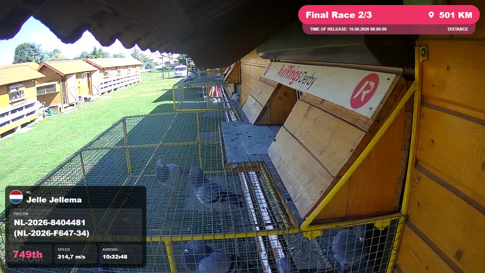 Pigeon Arrival Image For Race Final Race 2/3