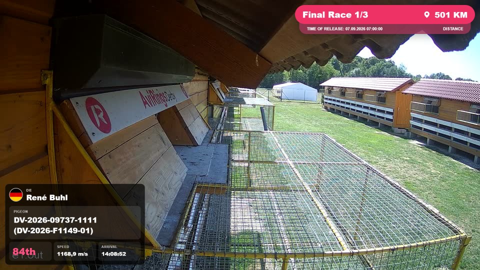 Pigeon Arrival Image For Race Final Race 1/3