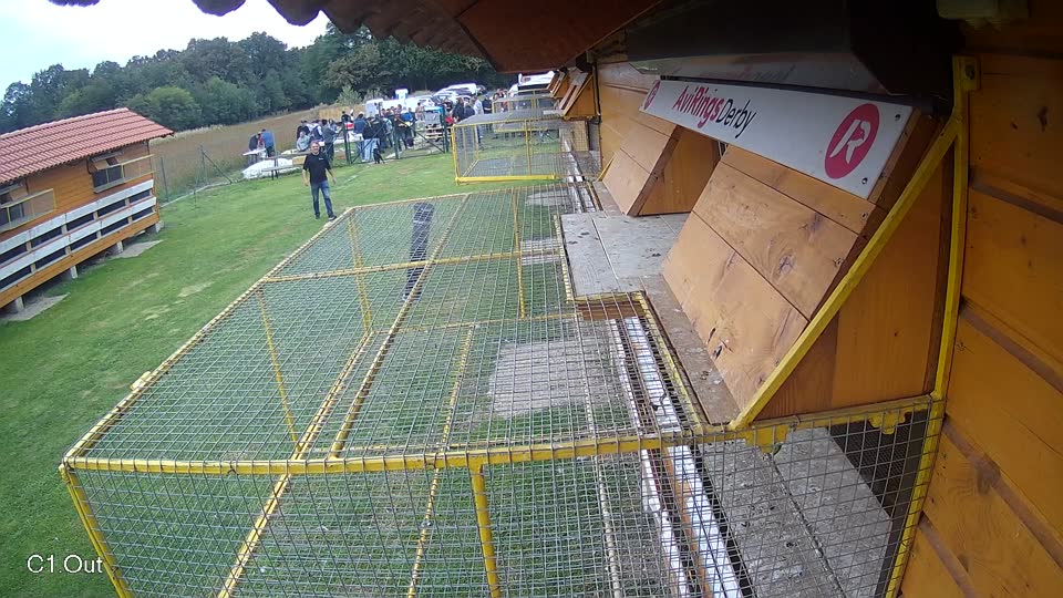 Pigeon Arrival Image For Race Final race 3
