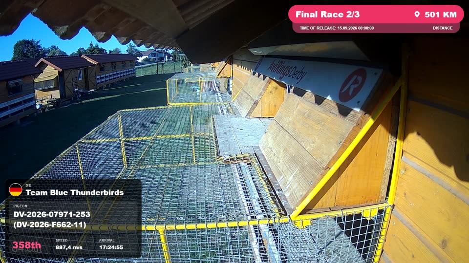 Pigeon Arrival Image For Race Final Race 2/3