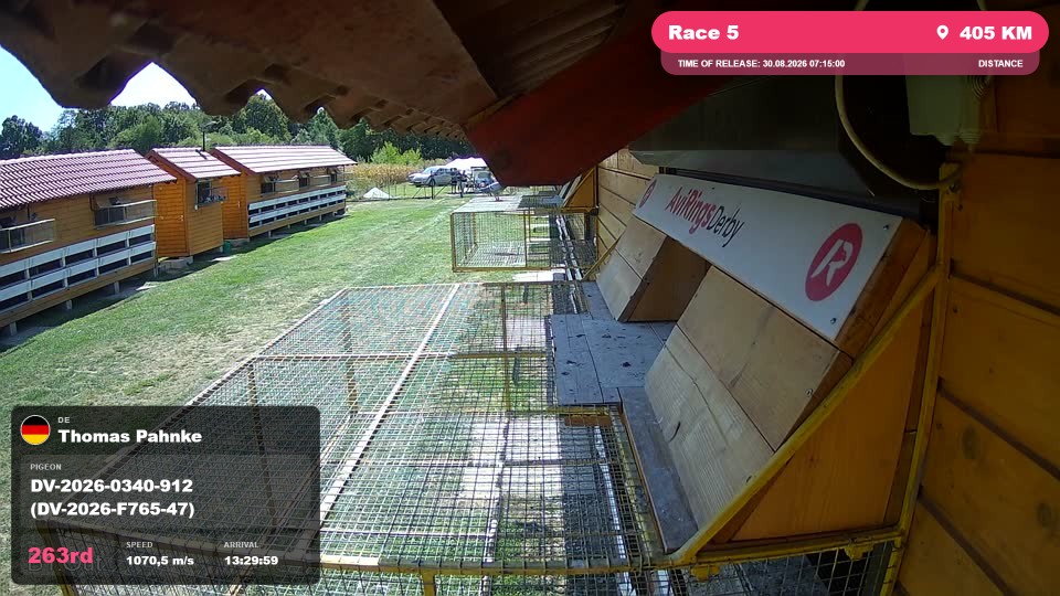 Pigeon Arrival Image For Race Race 5