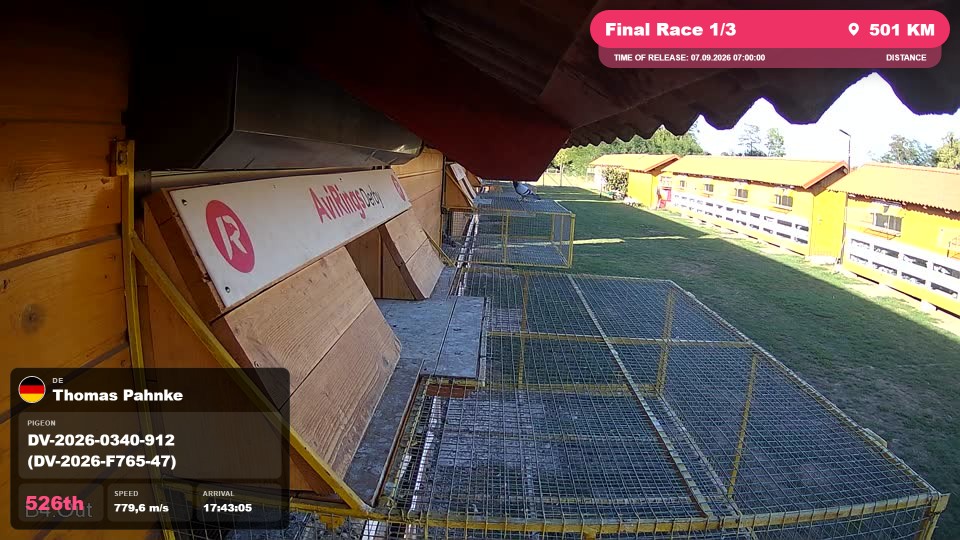 Pigeon Arrival Image For Race Final Race 1/3