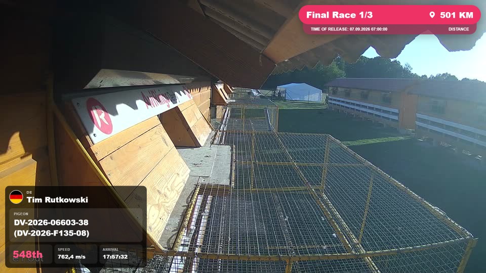 Pigeon Arrival Image For Race Final Race 1/3