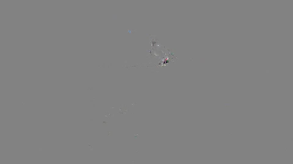 Pigeon Arrival Image For Race Race 2