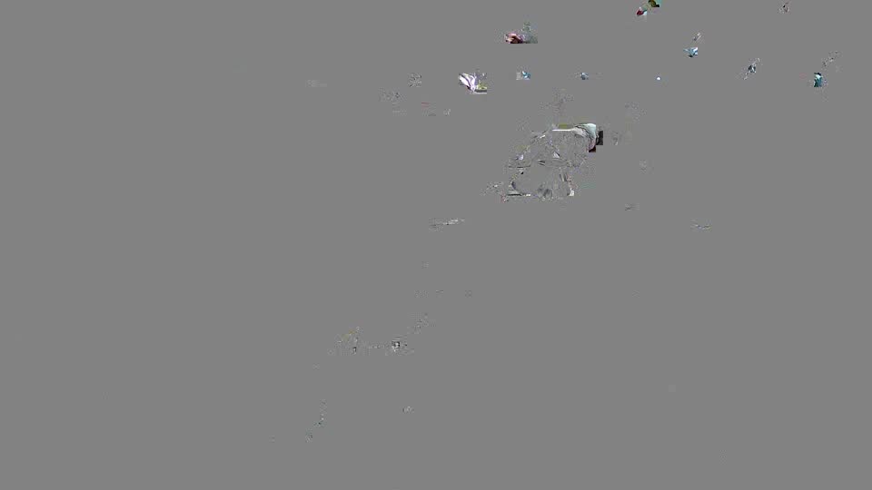 Pigeon Arrival Image For Race Race 2