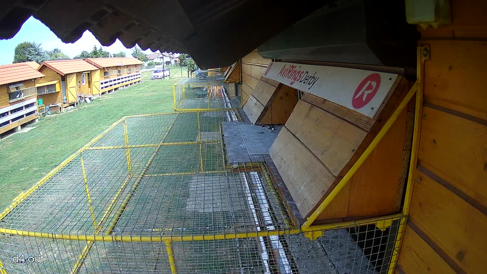 Pigeon Arrival Image For Race Race 4