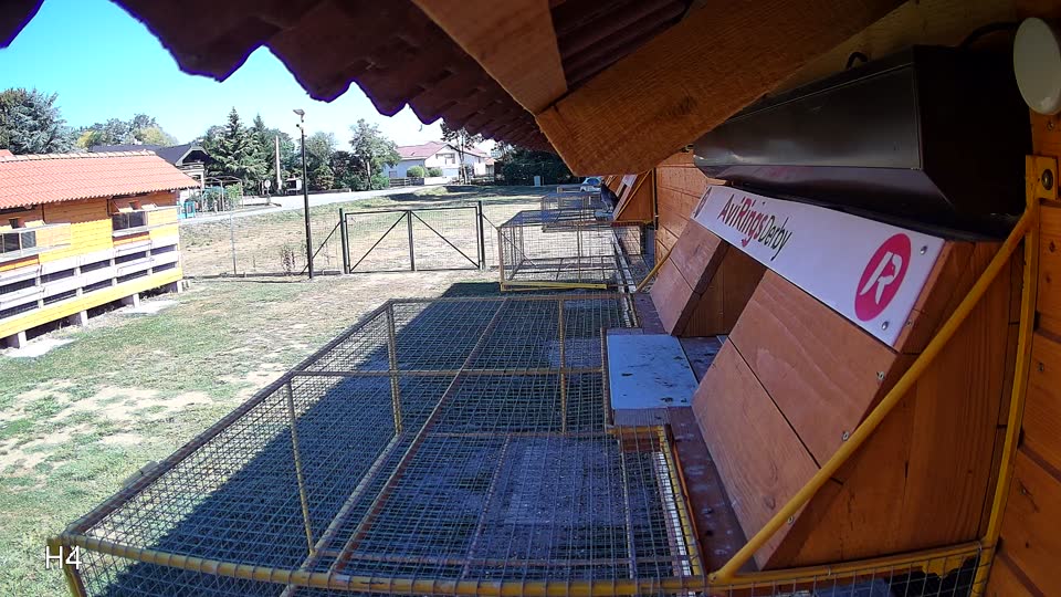 Pigeon Arrival Image For Race Race 3