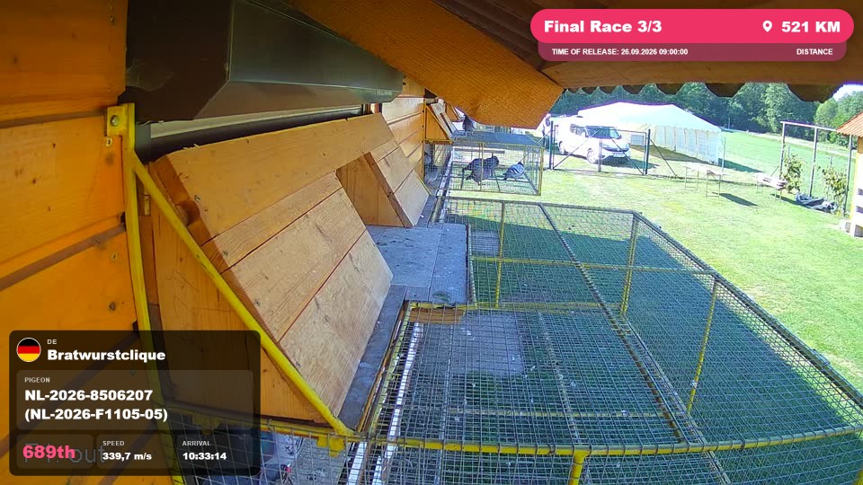 Pigeon Arrival Image For Race Final Race 3/3