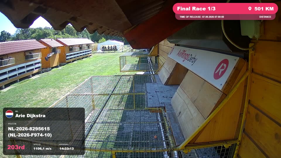 Pigeon Arrival Image For Race Final Race 1/3