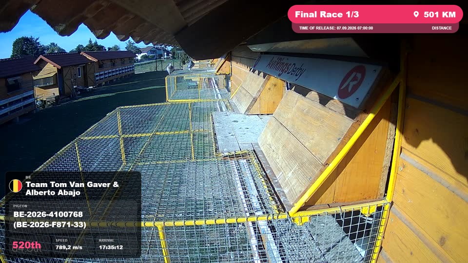 Pigeon Arrival Image For Race Final Race 1/3