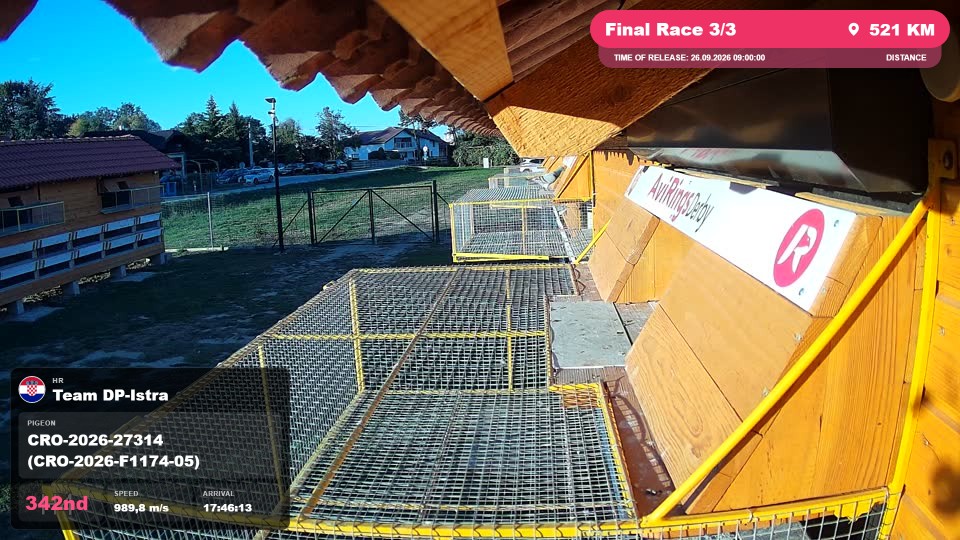Pigeon Arrival Image For Race Final Race 3/3