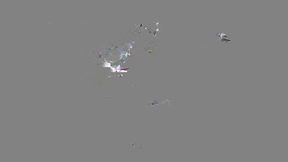 Pigeon Arrival Image For Race Race 2