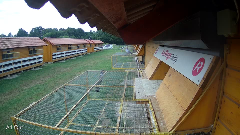 Pigeon Arrival Image For Race Race 3