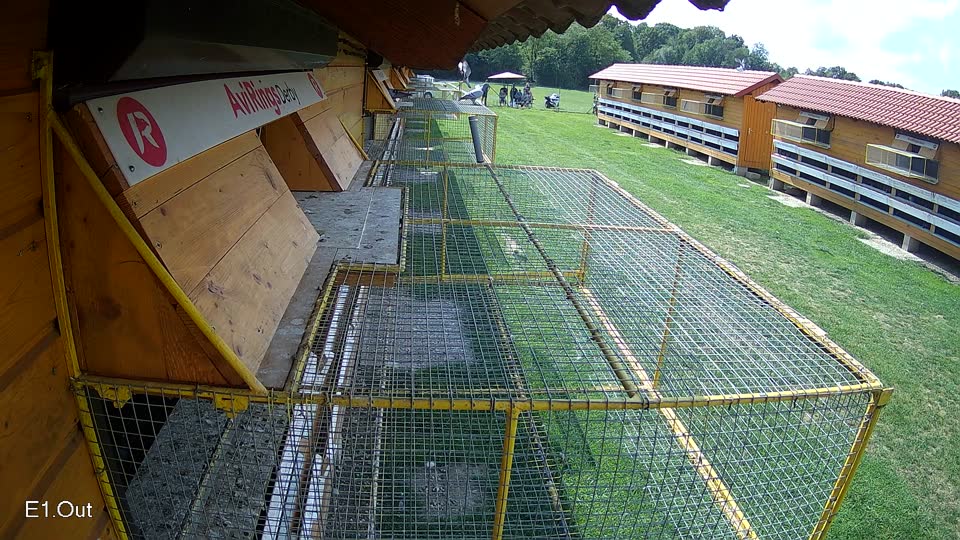 Pigeon Arrival Image For Race Race 6