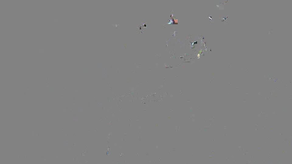 Pigeon Arrival Image For Race Race 2