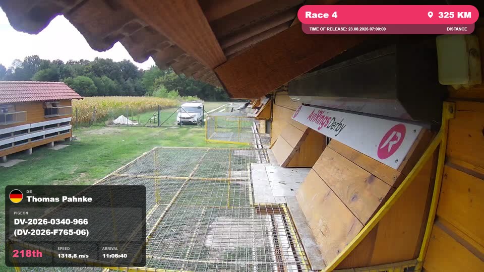 Pigeon Arrival Image For Race Race 4