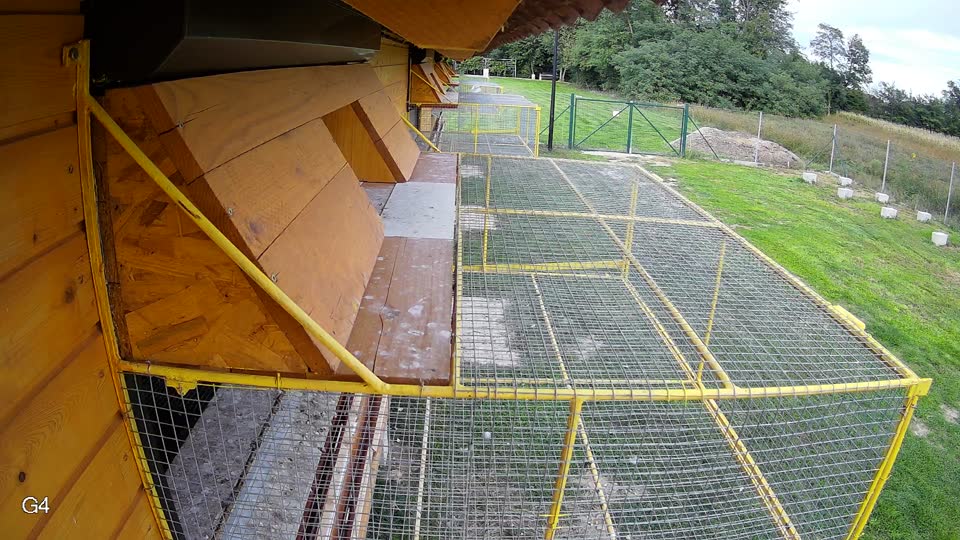 Pigeon Arrival Image For Race Final race 3