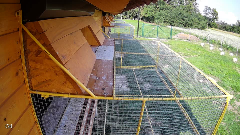 Pigeon Arrival Image For Race Final race 1