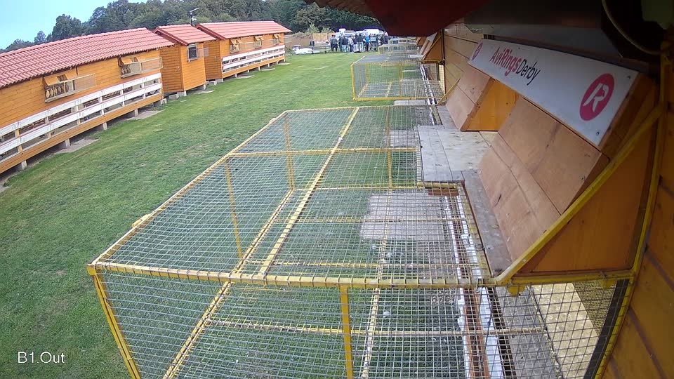Pigeon Arrival Image For Race Final race 3