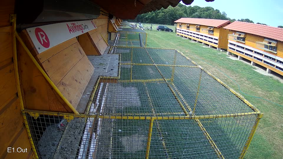 Pigeon Arrival Image For Race Race 3