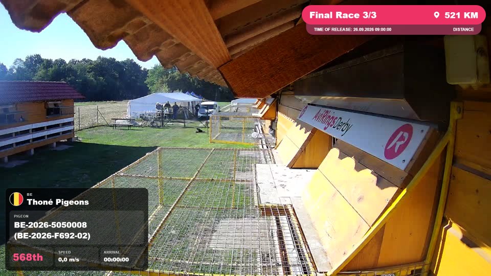 Pigeon Arrival Image For Race Final Race 3/3
