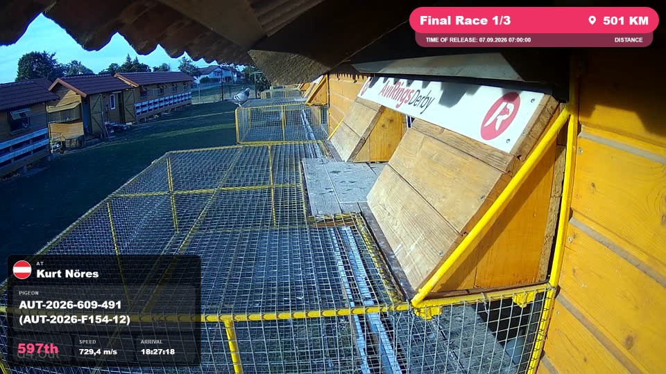 Pigeon Arrival Image For Race Final Race 1/3