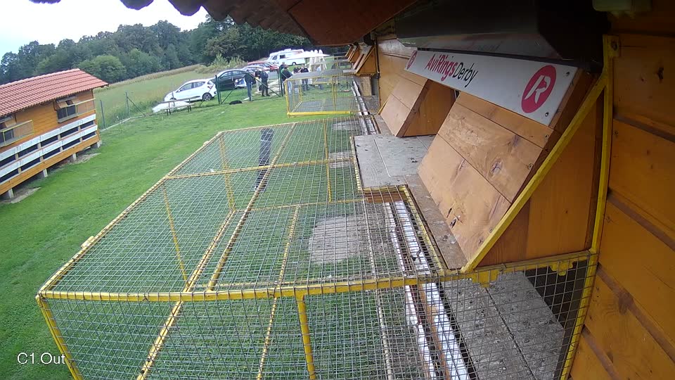 Pigeon Arrival Image For Race Final race 2