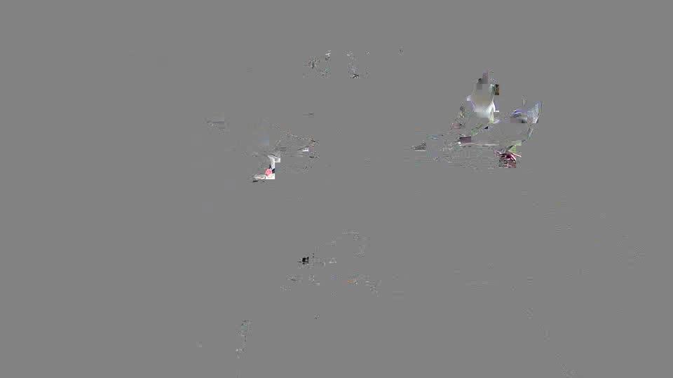 Pigeon Arrival Image For Race Race 2