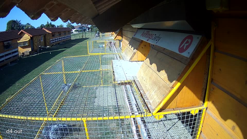 Pigeon Arrival Image For Race Race 5